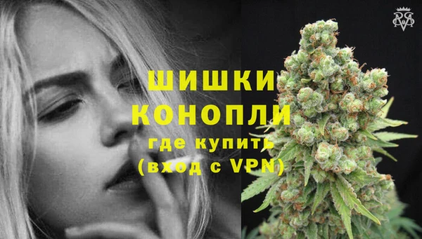 дживик Заводоуковск