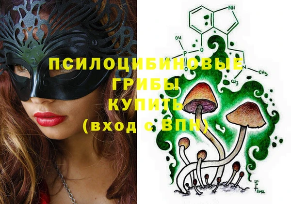 дживик Заводоуковск