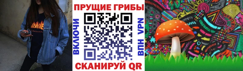 Купить где Новоалтайск Псилоцибиновые грибы мухоморы